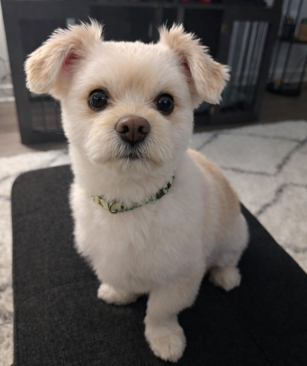Up close and personal on eyes that tell the whole story.  Cropping pulls you right into his expression so nothing else matters but the mood.